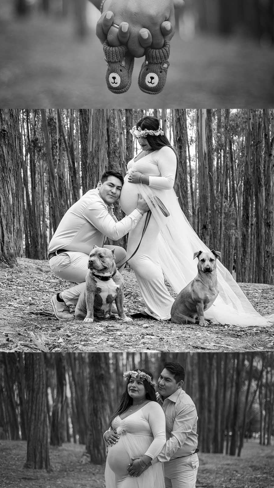 saghira & jhor black and white familly with dogs pregnancy photo in cusco by lorenna martin