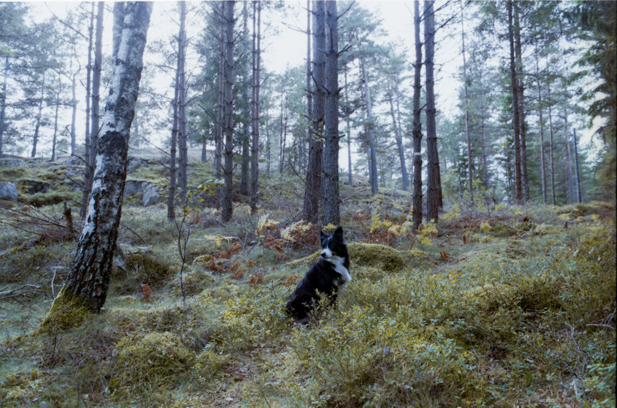 hitchhiking in europe analogic photo by lorenna martin (11)